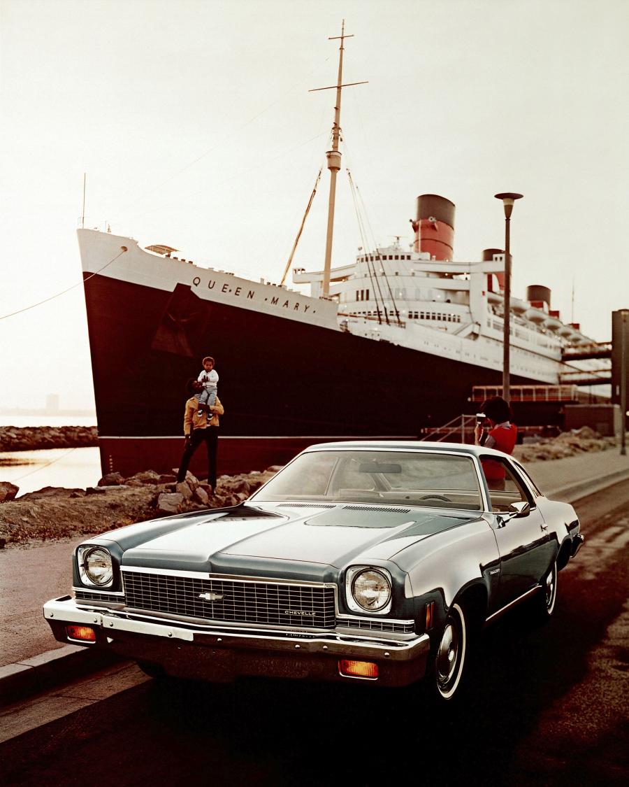  Chevrolet Chevelle Malibu Colonnade Coupe 1973 года  (фото 1 из 2)